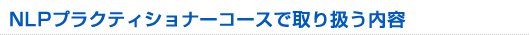 NLP�r�W�l�X�v���N�e�B�V���i�[�Z�~�i�[�Ŏ�舵�����e