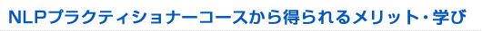 NLP�v���N�e�B�V���i�[�R�[�X���瓾���郁���b�g�E�w��